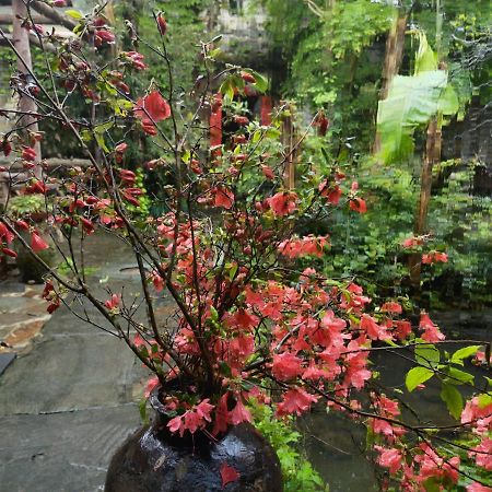 Wuyuan Qiye Yanxiang Guesthouse Ngoại thất bức ảnh