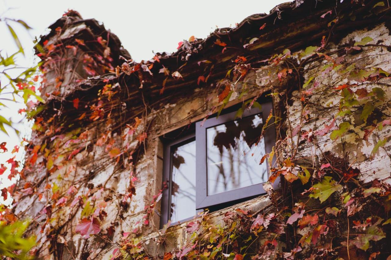 Wuyuan Qiye Yanxiang Guesthouse Ngoại thất bức ảnh